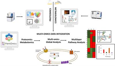 The Integration of Proteomics and Metabolomics Data Paving the Way for a Better Understanding of the Mechanisms Underlying Microbial Acquired Drug Resistance